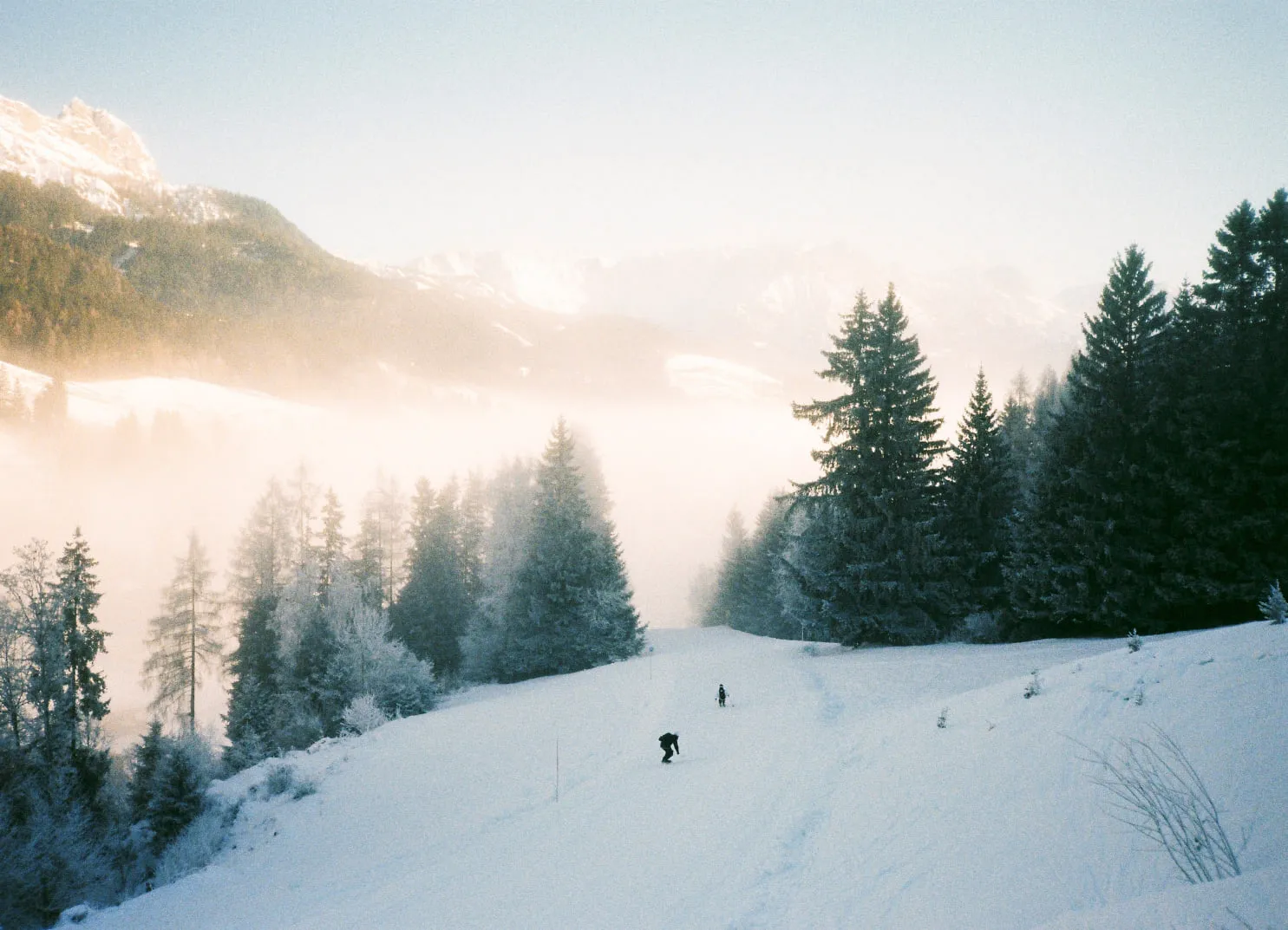 Winterlandschaft