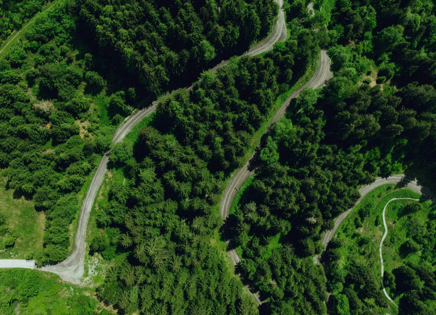 Luftaufnahme von gewundenen Straßen durch dichte grüne Wälder