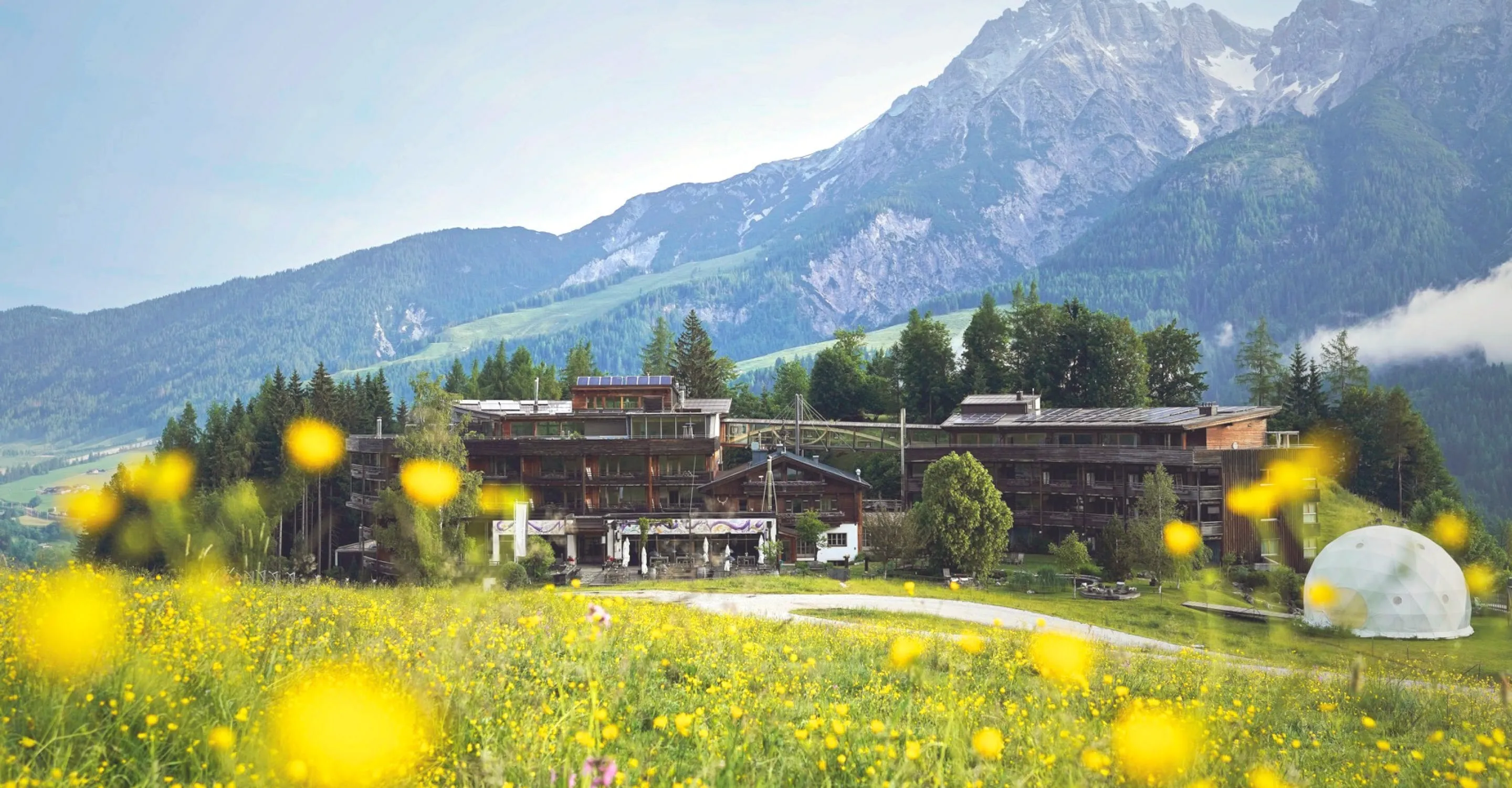 Szene mit Bergblick, modernem Gebäude und Wiesenblumen im Vordergrund