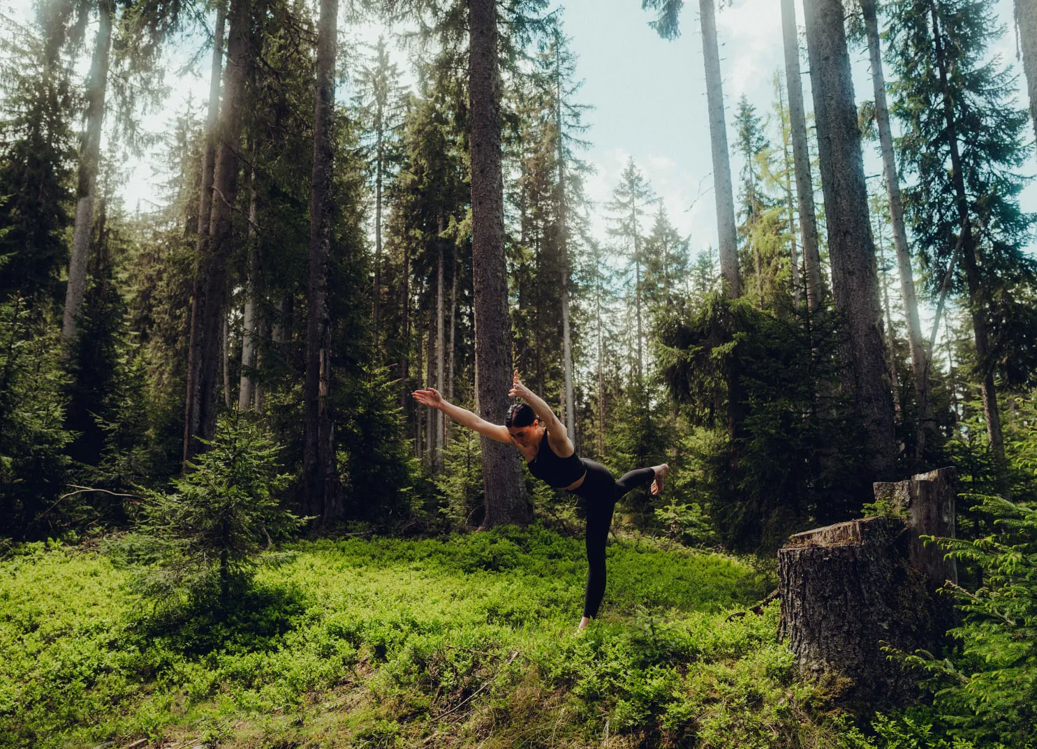 Eine Person übt Yoga in einem Wald, umgeben von hohen Bäumen.